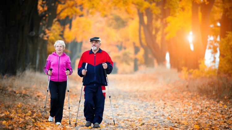 Paar beim Nordic Walking im Herbstwald